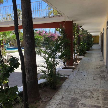 Hotel Calafia La Paz Eksteriør billede