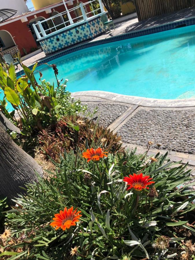 Hotel Calafia La Paz Eksteriør billede