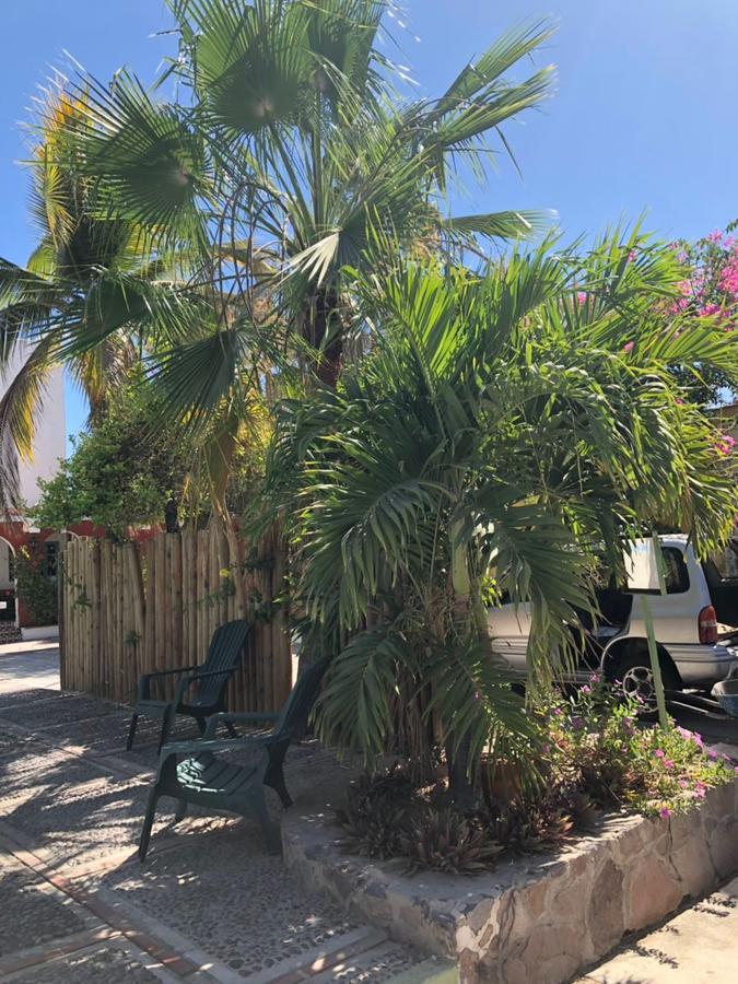 Hotel Calafia La Paz Eksteriør billede